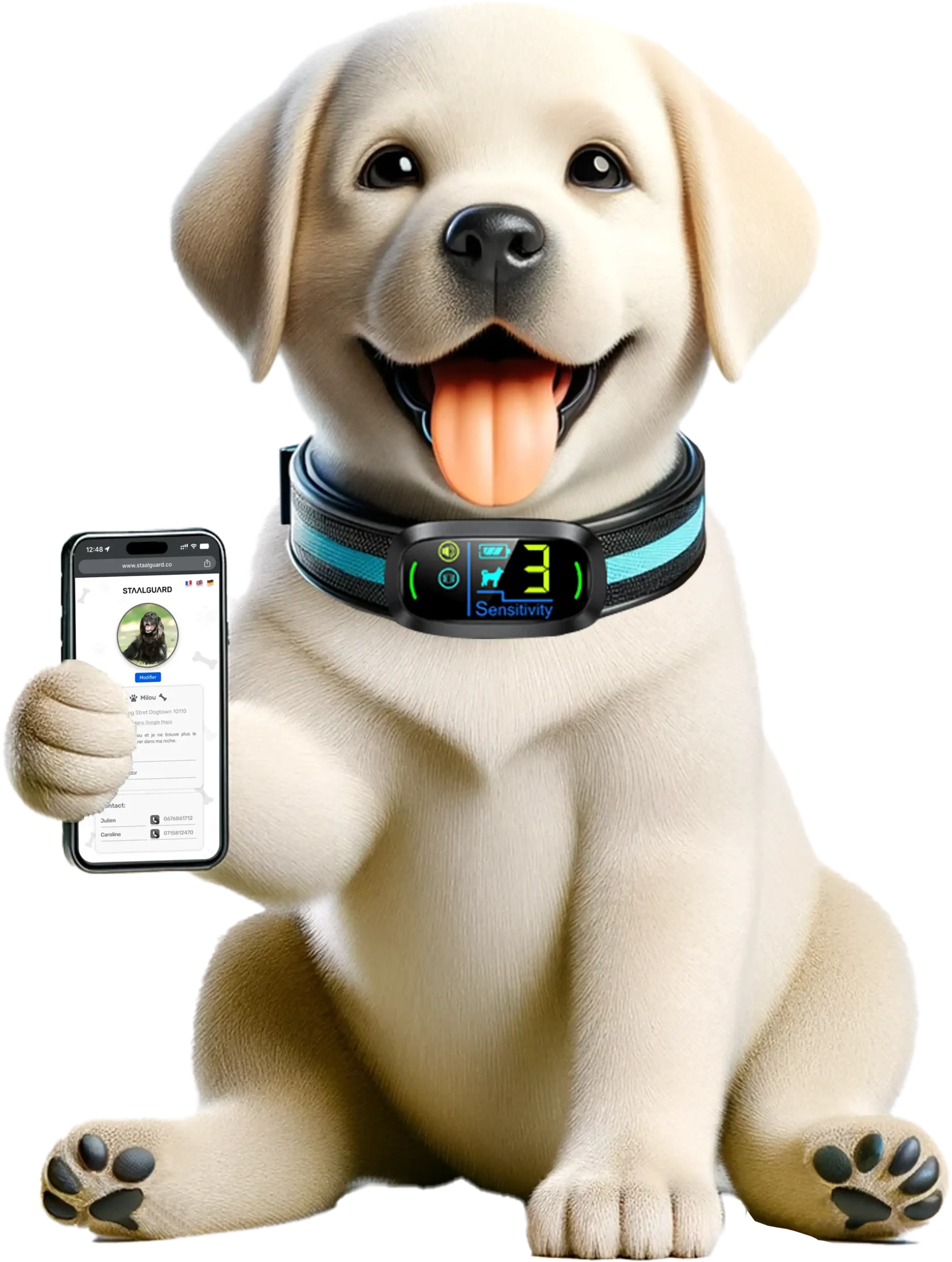 Chien tenant téléphone dans sa main utilisant 'application Staalguard