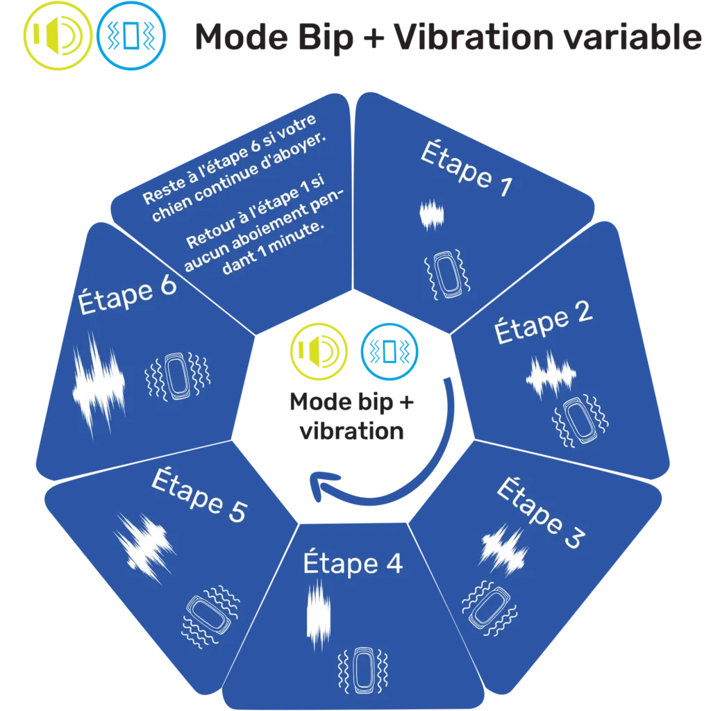 Mode fonctionnement Bip et Vibrations collier anti aboiement Staalguard